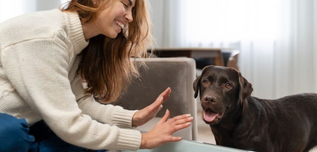 Understanding the Role of First and Last Impressions