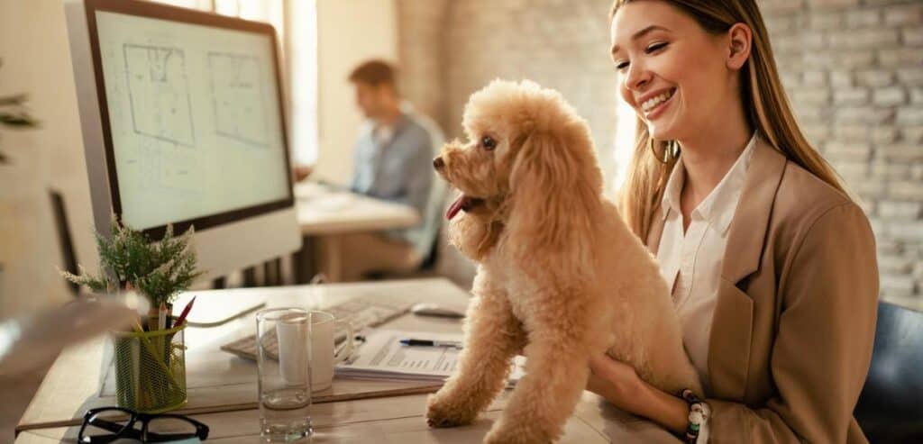 Creating Predictable and Transparent Check-Out Processes