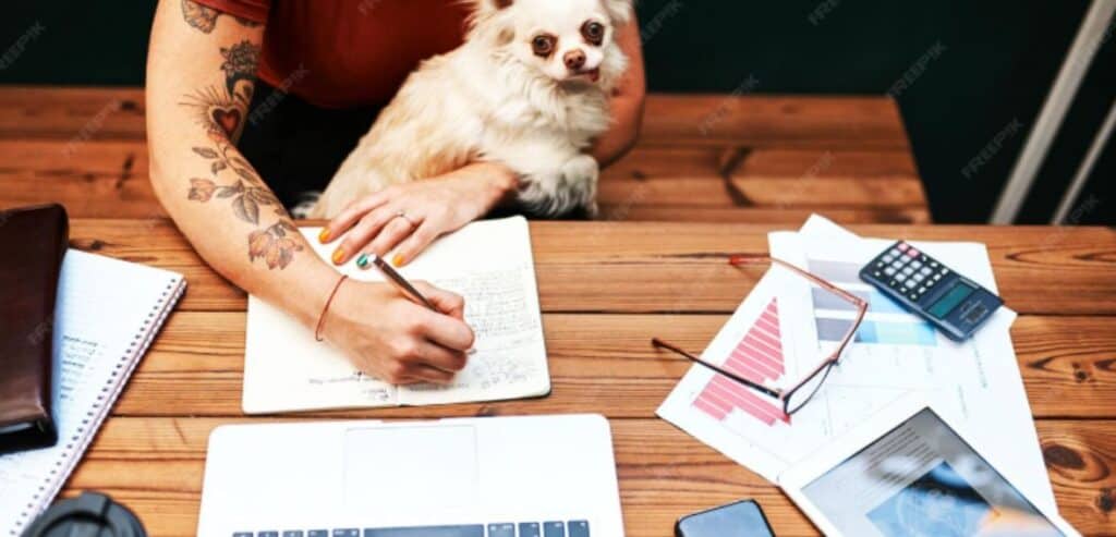 Adapting Workflows for Different Pet Business Models