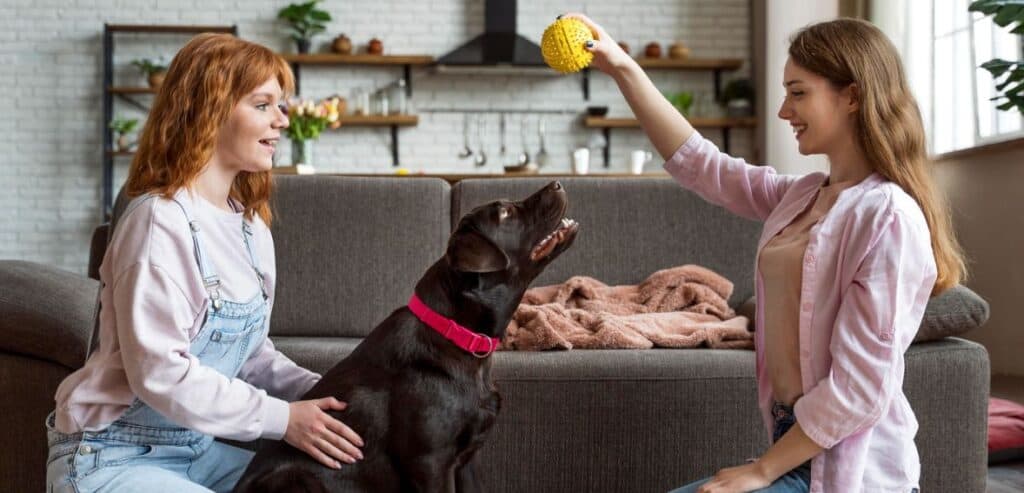 Staff Alignment and Consistency