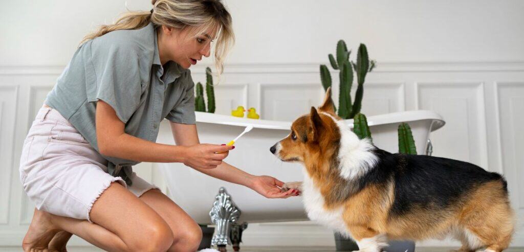 Why Expectation Gaps Are So Common in Pet Services